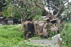 Satpol PP Surabaya Hancurkan 'Kandang Merpati' di TPU Rangkah: Dicurigai Jadi Sarana Perjudian