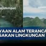 Trending Topik #SaveRajaAmpat Sorot Global: Lestarikan Permata Papua, Kekayaan Alam Dunia dari Kerusakan Tambang